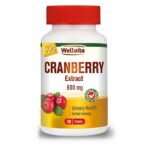 90342 Wellvita Cranberry